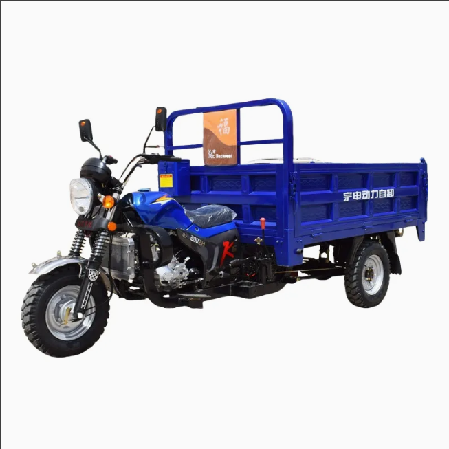 Open Cargo Motorized Tricycle Vehicle 250cc/150cc Three-Wheel Passenger Gasoline Motor Vehicle 1000W EEC/DOT Certified